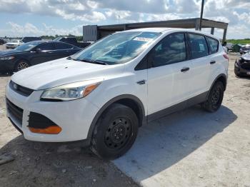  Salvage Ford Escape