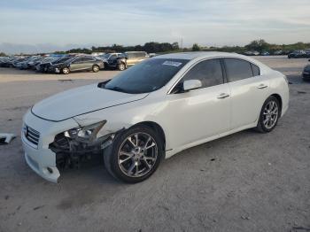  Salvage Nissan Maxima