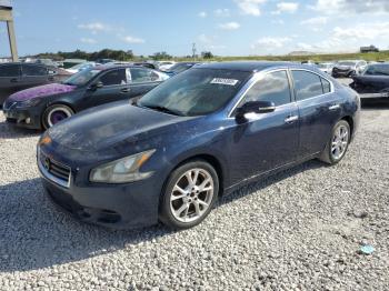  Salvage Nissan Maxima