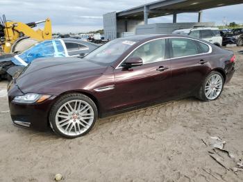  Salvage Jaguar XF