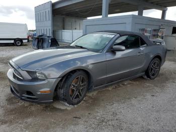  Salvage Ford Mustang