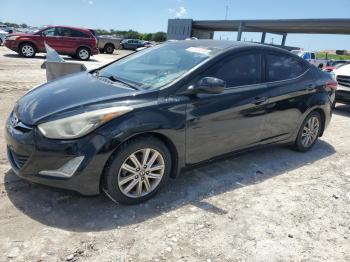  Salvage Hyundai ELANTRA