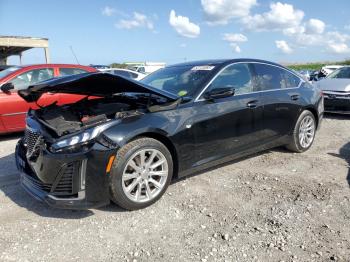  Salvage Cadillac CT5