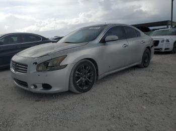  Salvage Nissan Maxima