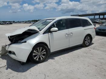  Salvage Honda Odyssey