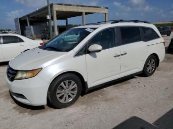  Salvage Honda Odyssey