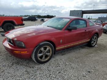  Salvage Ford Mustang