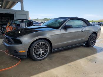 Salvage Ford Mustang