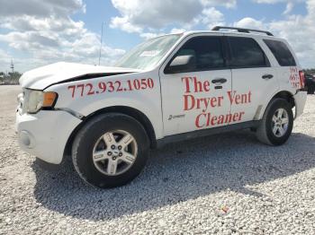  Salvage Ford Escape
