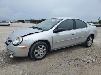  Salvage Dodge Neon