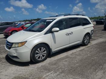  Salvage Honda Odyssey