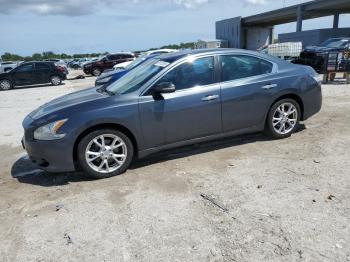  Salvage Nissan Maxima
