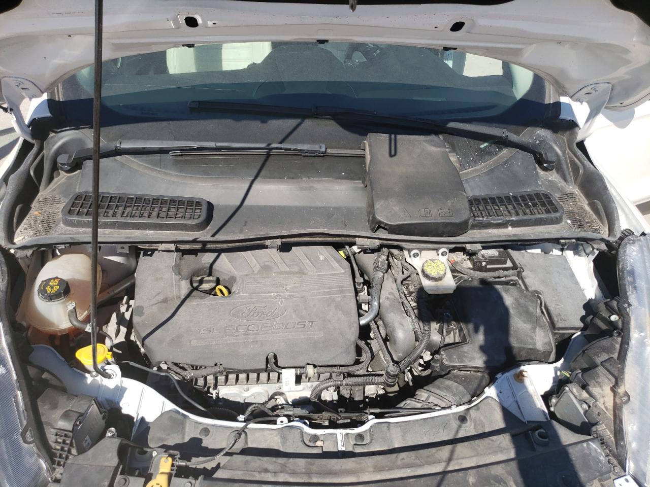 Ford Escape Sel Image 11