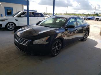  Salvage Nissan Maxima