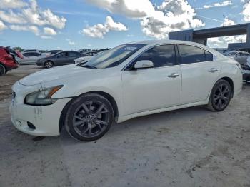  Salvage Nissan Maxima