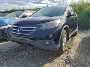  Salvage Honda Crv