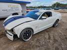 Ford Mustang Gt Image 1