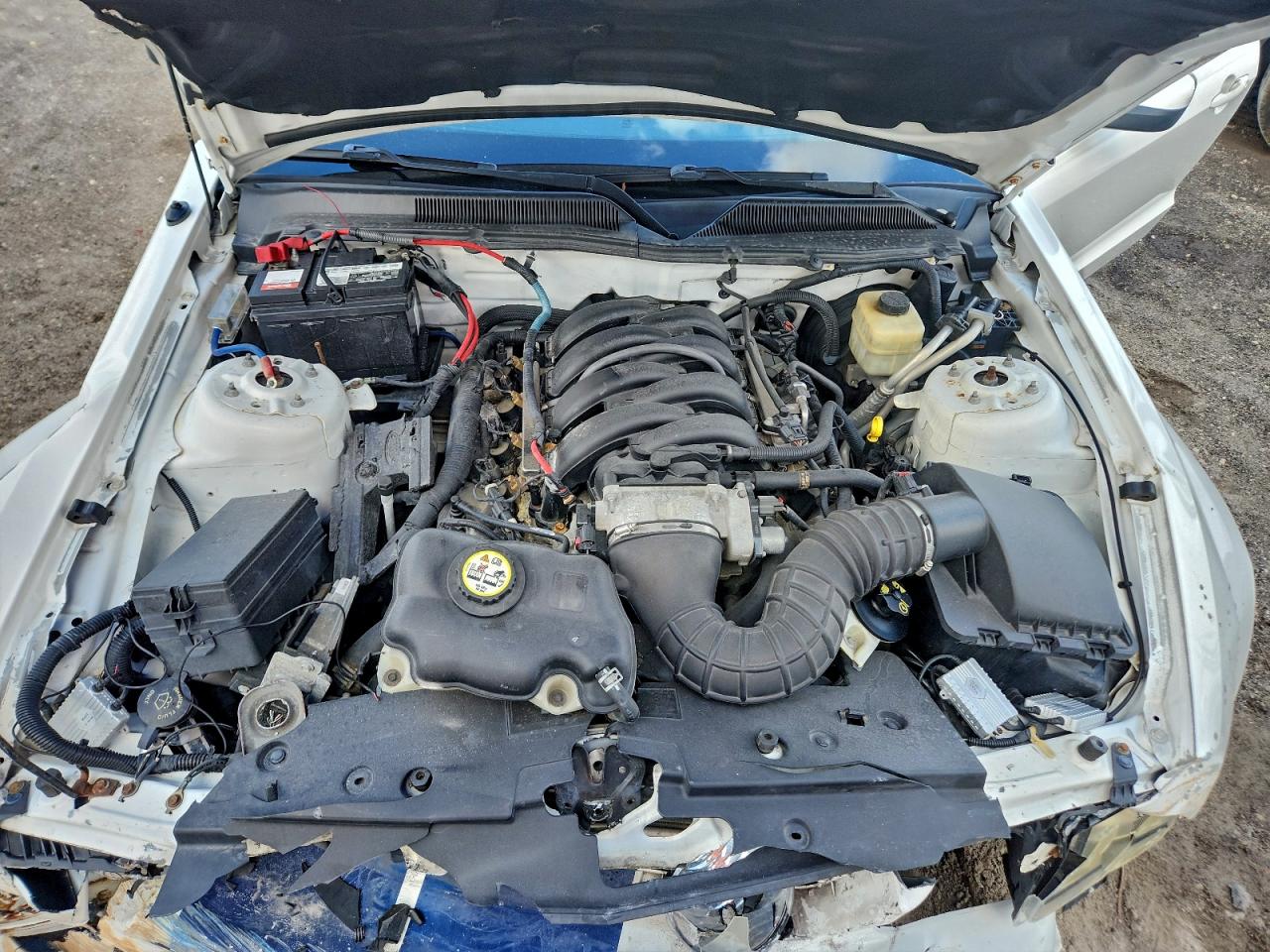 Ford Mustang Gt Image 12