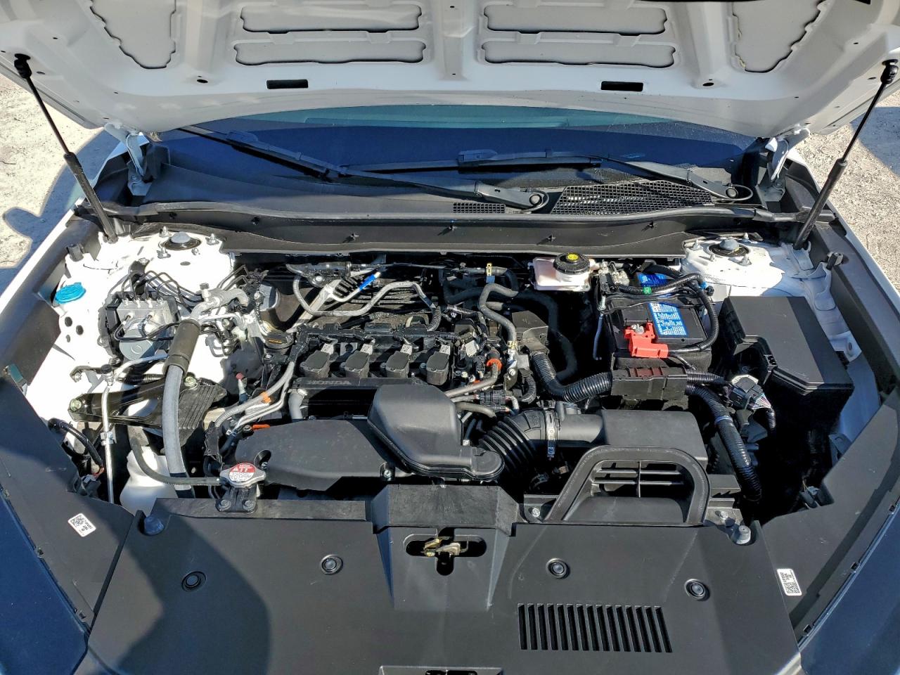 Honda Crv Exl Image 2