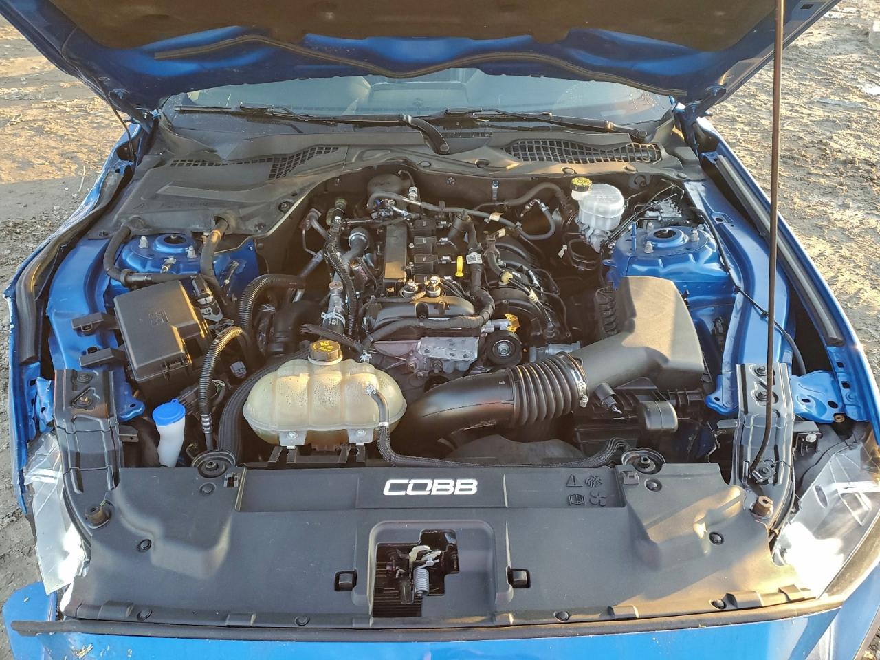 Ford Mustang Image 11